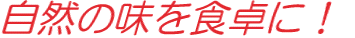 R̖HɁI